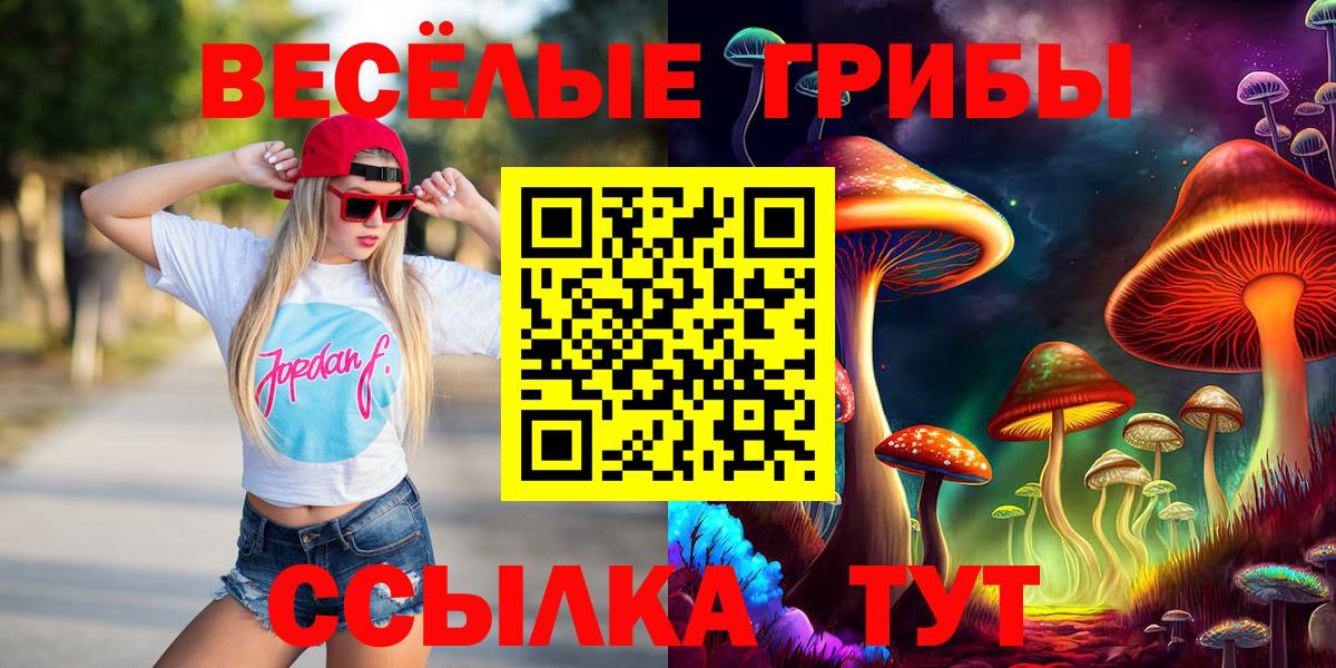 Гай  Псилоцибиновые грибы прущие грибы  Вход с VPN 